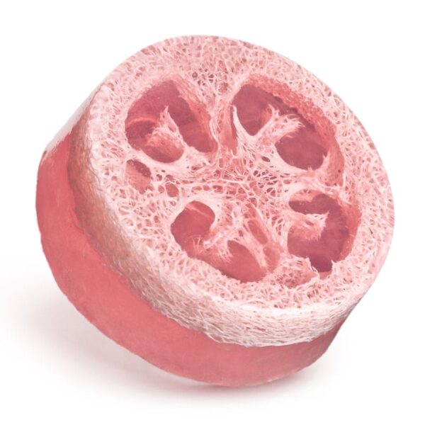 Savon glycériné luffa au magnolia