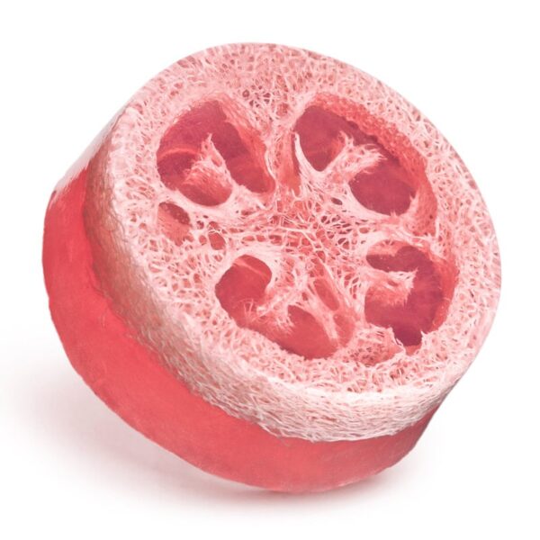 Savon glycériné luffa au melon