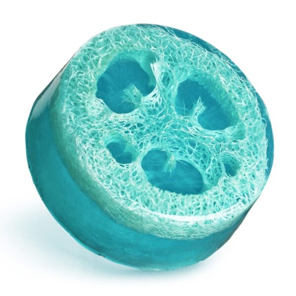 Loofah Exfoliating Soaps - Ocean
